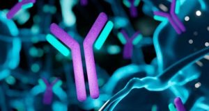 kappa-y-lambda kappa-y-lambda